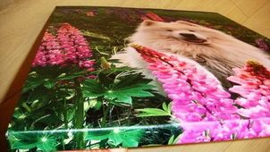 Заказать фото на холсте Буча недорого